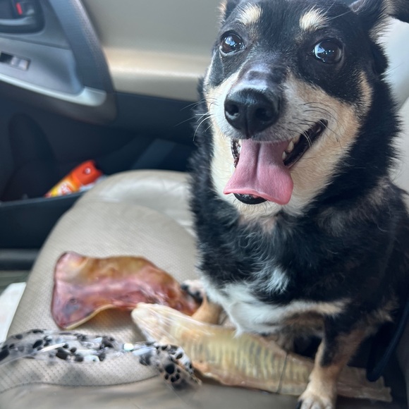 Meet your Posher, Nancy - Picture 1 of 1